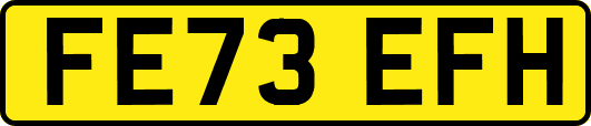 FE73EFH