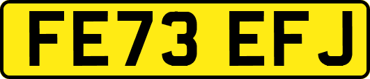 FE73EFJ