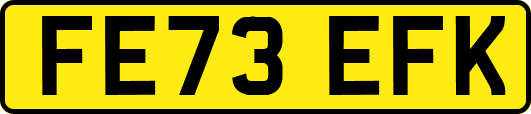 FE73EFK