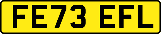 FE73EFL