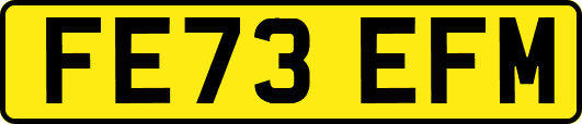 FE73EFM