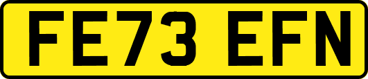 FE73EFN