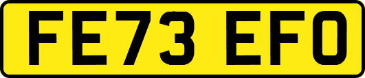 FE73EFO