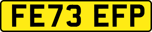 FE73EFP
