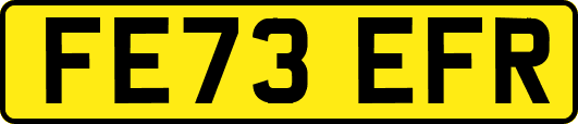 FE73EFR
