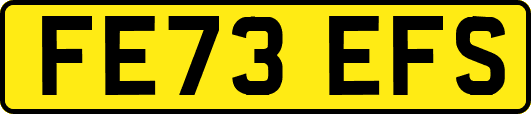 FE73EFS