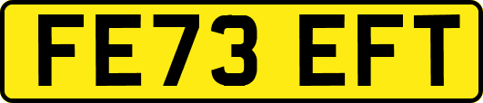 FE73EFT