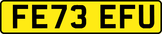 FE73EFU