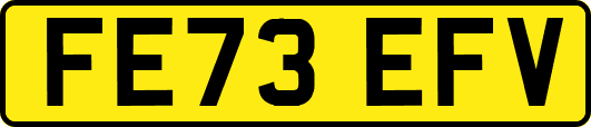 FE73EFV