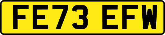 FE73EFW