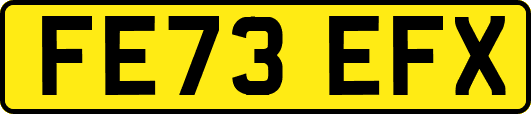 FE73EFX