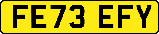 FE73EFY