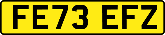 FE73EFZ