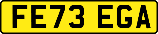 FE73EGA