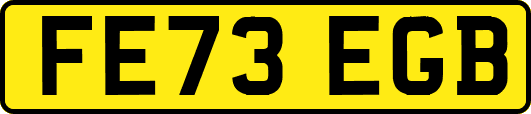 FE73EGB