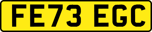 FE73EGC