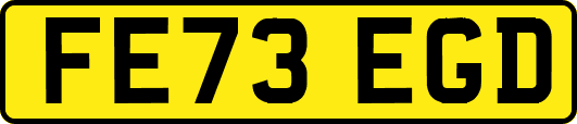 FE73EGD