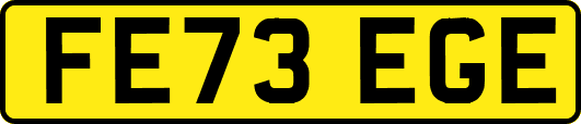 FE73EGE