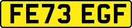 FE73EGF