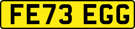 FE73EGG