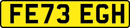 FE73EGH