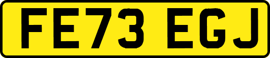FE73EGJ