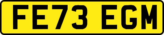 FE73EGM