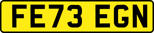FE73EGN