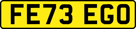 FE73EGO