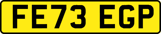FE73EGP