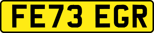 FE73EGR