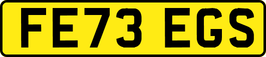 FE73EGS