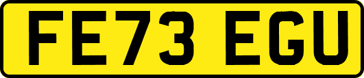 FE73EGU