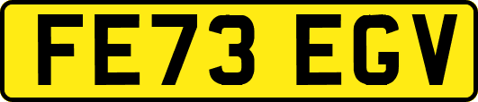 FE73EGV