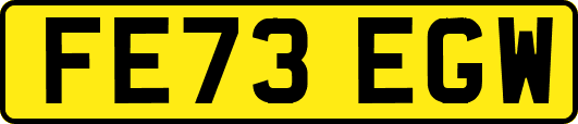 FE73EGW