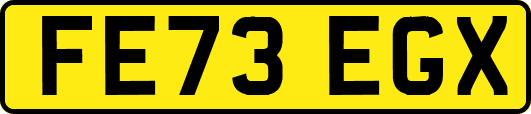 FE73EGX