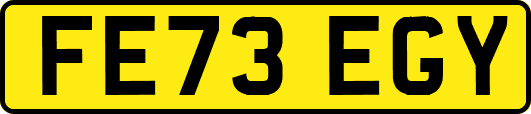 FE73EGY