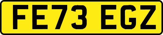 FE73EGZ
