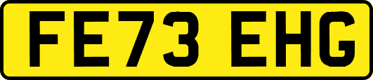 FE73EHG