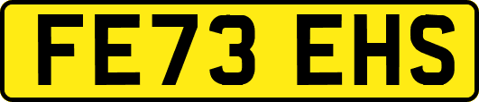FE73EHS