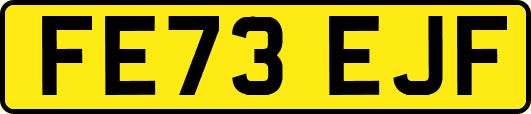 FE73EJF