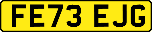 FE73EJG