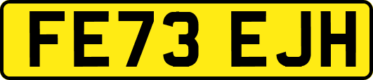 FE73EJH