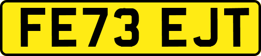 FE73EJT
