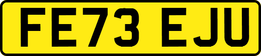 FE73EJU