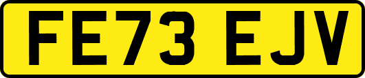 FE73EJV
