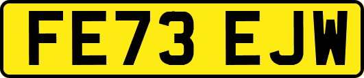 FE73EJW