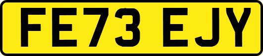 FE73EJY
