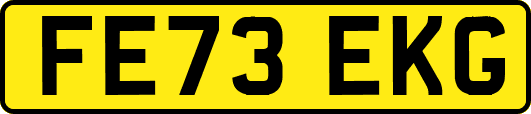 FE73EKG