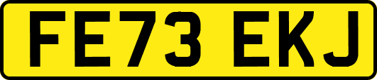 FE73EKJ